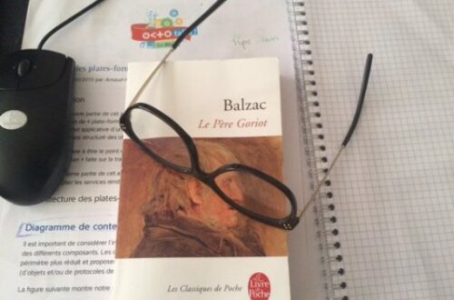 Article : Coup de cœur lecture : Balzac m’a sauvé d’Elgas